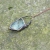 pendant-neckalce-jewelry-Pociecha-Jewelry-81.jpg