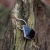 necklace-Pociecha-Jewelry-16.jpg
