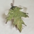 leaf-electroformed-necklace-pociechajewelry-68.jpg