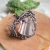 pociecha-jewelry.jpg