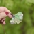pociecha-jewelry-14.jpg