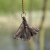 pociecha-jewelry-39.jpg