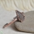 POCIECHAjewelry-9.jpg