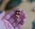 pociechajewelry-pociecha-jewelry-wirewrapping-10.jpg