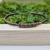 pociecha-jewelry-8.jpg